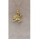 Collana rollina oro giallo con trinacria piastra e gorgone satinato